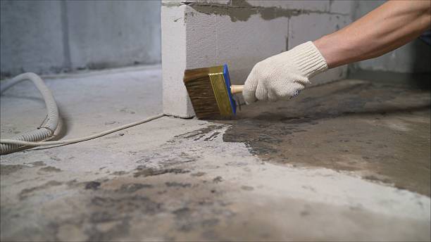 Trusted Waterproofing service in Island Lake, IL - SGP Waterproofing